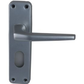 Ally Oval Lock Handle