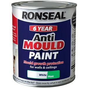 Ronseal Anti Mould Paint White Matt