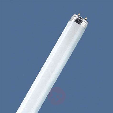FLORESCENT BULB