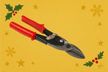 Amtech 250mm (10in) Aviation Tin Snips