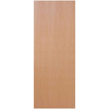 Plywood Flush Door