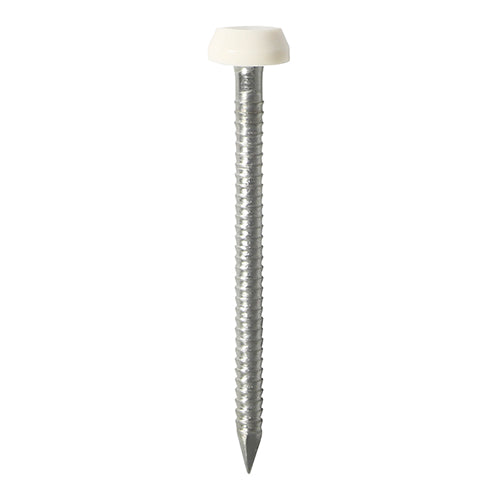 Polymer Headed Pins - A4 Stainless Steel 250pcs